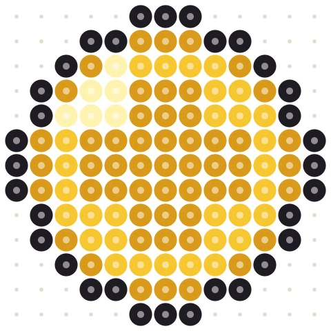 Gold Coin