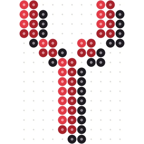 Letter Y