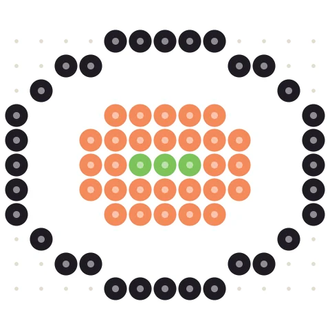 Sushi Roll